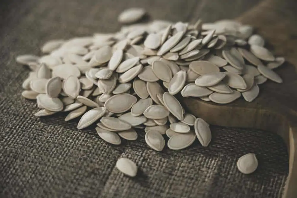 1 pumpkin seeds on a counter