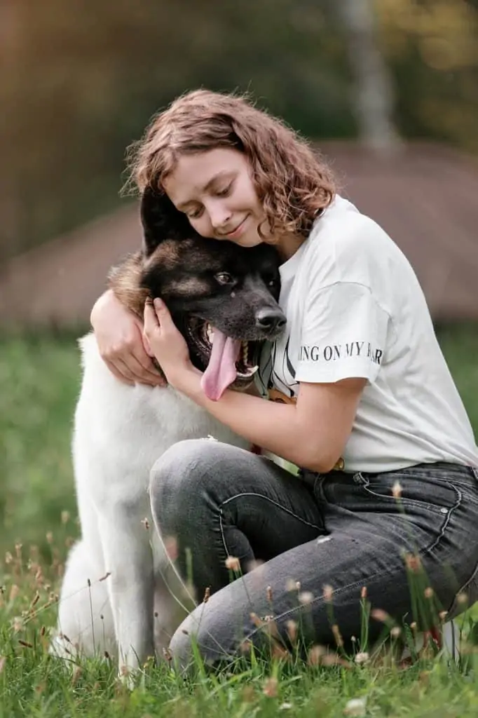 10 an american akita with a girl