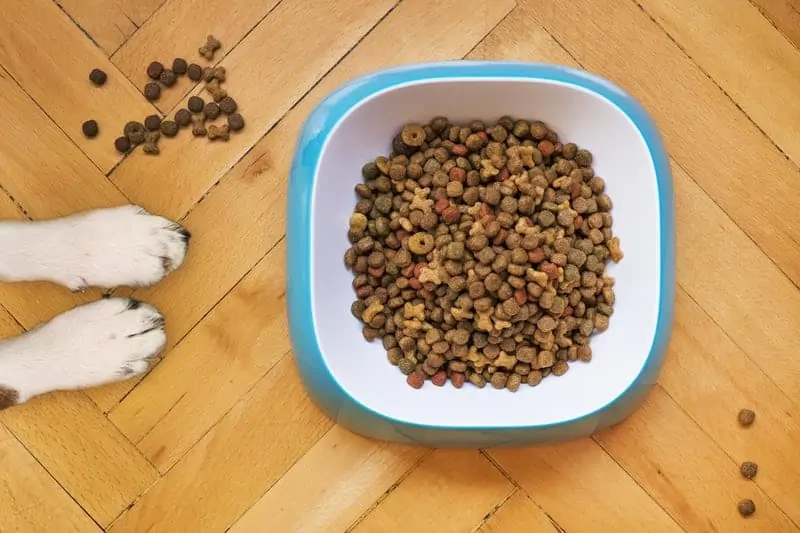 4 dog food