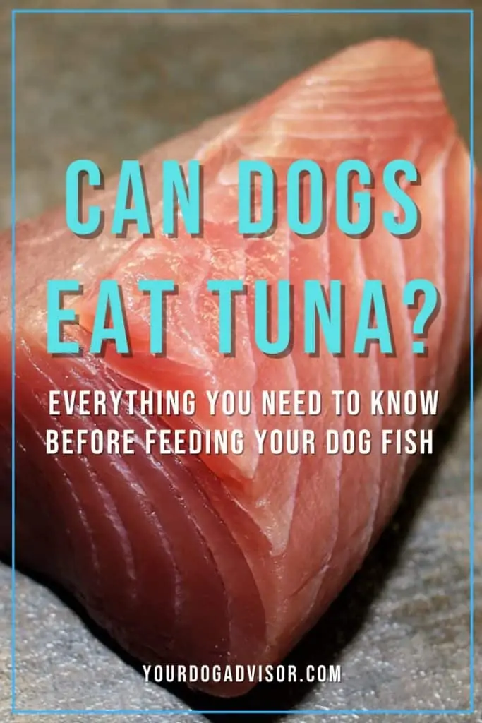 Can dogs outlet eat tuna fish