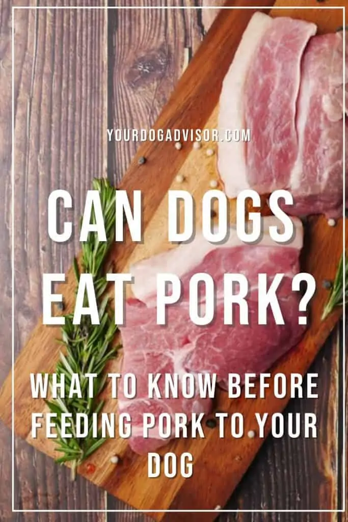 can dogs eat pork 2