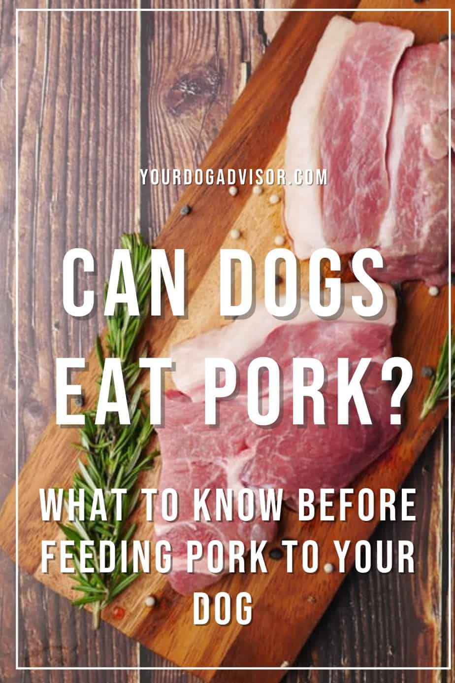 Can Dogs Eat Pork? What To Know Before Feeding Pork To Your Dog Your Dog Advisor Can Dogs Eat Pork? What To Know Before Feeding Pork To Your Dog Your Dog Advisor