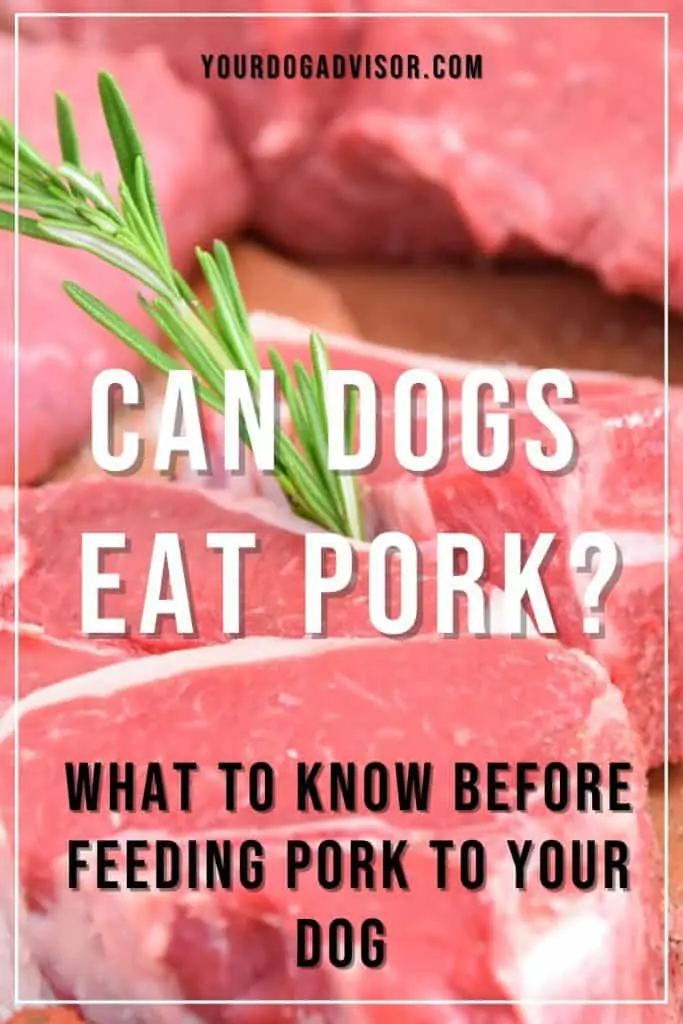 can dogs eat pork