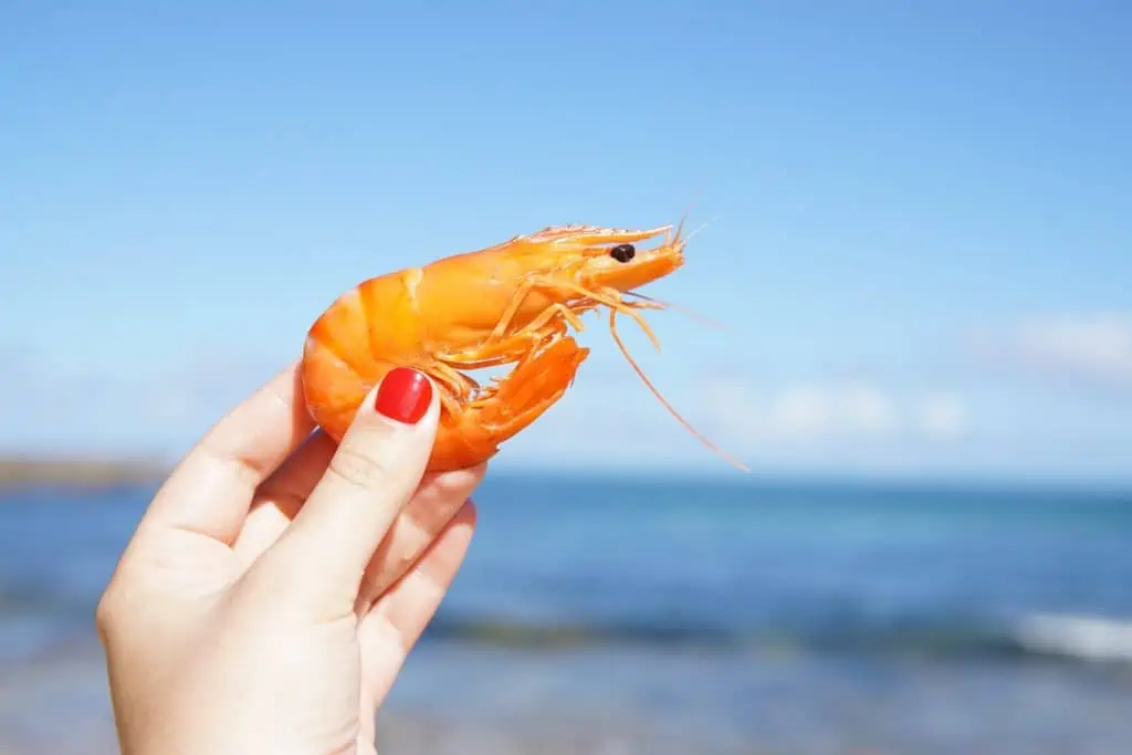 2 a woman holding shrimp