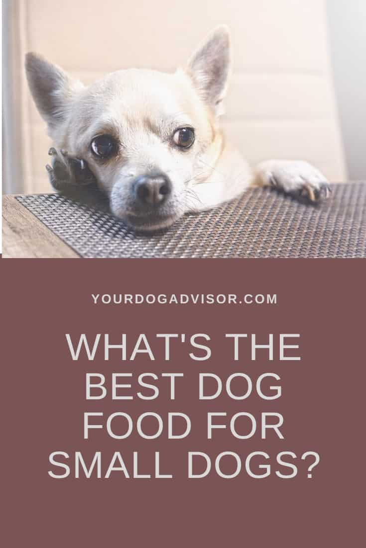 The Best Dog Food for Small Dogs Your Dog Advisor
