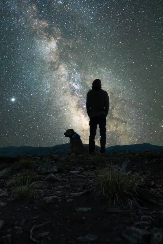 2 a man and dog under the stars