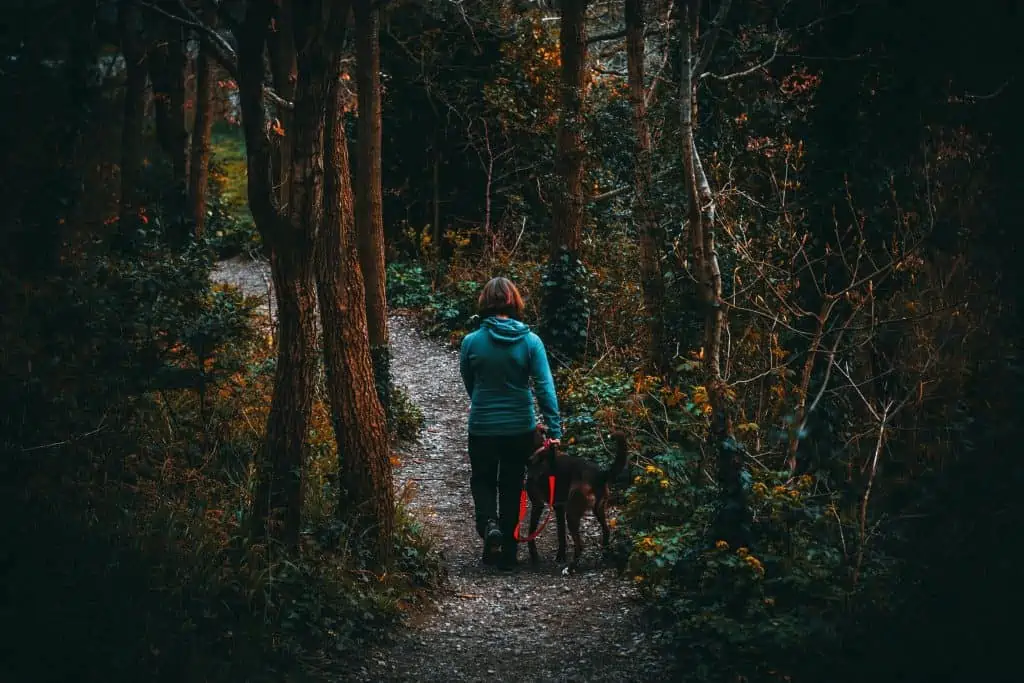 5 a woman walking her dog in the woods