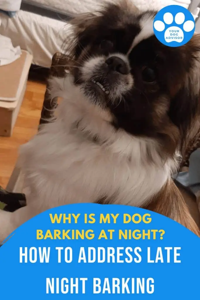 7 dog barking at night