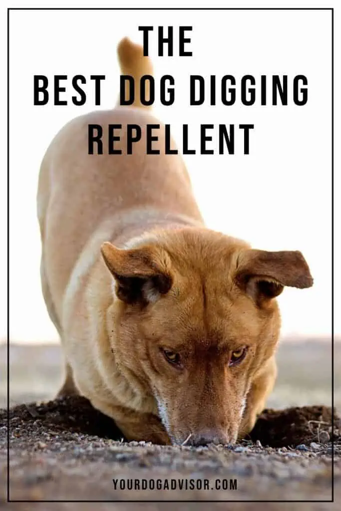 Best Dog Digging Repellent 2